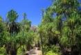 Canyon im Isalo-Nationalpark