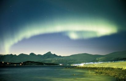 Aurora Borealis meets Wildlife