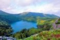 Lago Comprida, Flores