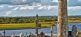 Clonmacnoise