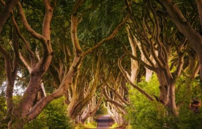 Auf Stippvisite bei Game of Thrones