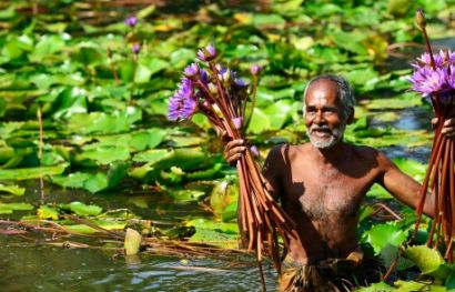 Der Zauber Sri Lankas