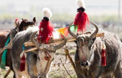 Heiliger Weg nach Tibet