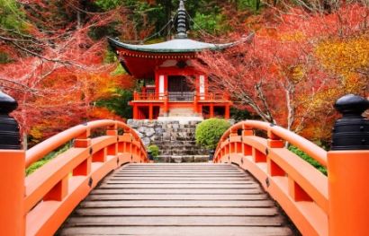 Höhepunkte Japans erleben