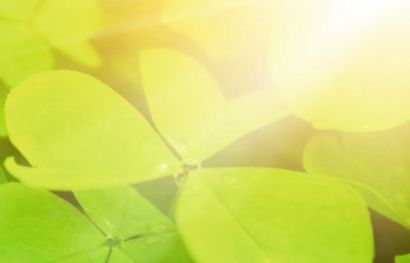 St. Patrick's Day Festival Dublin