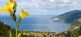 Azoren - Grüne Vulkan-Inseln im Atlantik Lupe Reisen 3