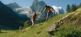 Schweiz-Eiger-Mönch-Jungfrau im Berner Oberland ( 8 Tage) Wanderflügel Weltweit 9